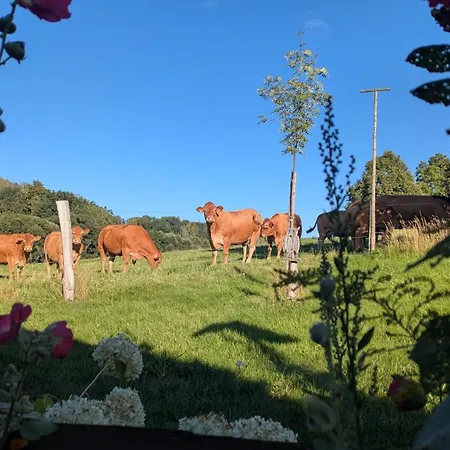 Gasthof Zum Furstenthal Guest house
